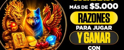 Copia las mejores apuestas hoy